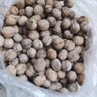 خشک بار