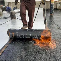 نصب ایزوگام قیرگونی آسفالت حتی1متر تمام نقاط تهران|خدمات پیشه و مهارت|تهران, استاد معین|دیوار