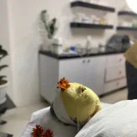 ۷۰ درصد تخفیف فشیال|خدمات آرایشگری و زیبایی|قم, بکایی|دیوار