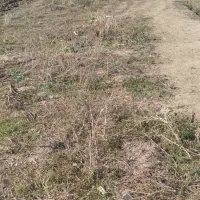 فروش مسکونی|فروش زمین و ملک کلنگی|صادق آباد, |دیوار