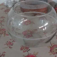 تنگ ماهی