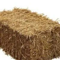 پرس گندم درجه یک