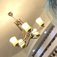 یک جفت لوستر پنج شاخه کامل سالم کاملا نو