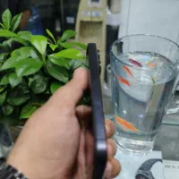گوشی iphone 12 pro max باطری 100٪|موبایل|مشهد, چهنو|دیوار