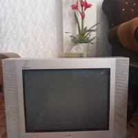 در حد نو