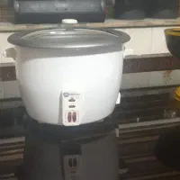 پلوپز وبخار پز ۱۲ نفره نو