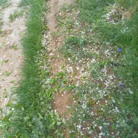 باندفرودگاه قدیم قطعه ۲۳ضلع جنوبی