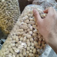 بادام زمینی قلافدار . تراکم بالا