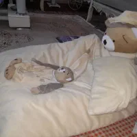 تشک گارددارسایزبزرگ|تشک تختخواب|تبریز, |دیوار