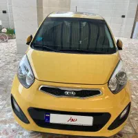 کیا پیکانتو خاص ترین رنگ