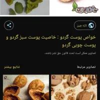 پوست گردو خشک شده