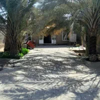 اجاره روزانه خانه پدری طبس(فوری)