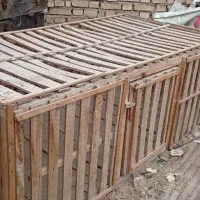 قفس مرغ یا پرنده