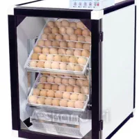 دستگاه جوجه کشی اسکندری ۱۲۶عددی