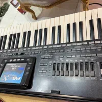 ارگ pa3 تمیز ۵ اکتاو|سازهای بادی|تبریز, |دیوار