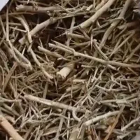 خارشتر فله ای|عمده‌فروشی|سرپل ذهاب, |دیوار