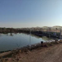 فروش گلخانه و باغ بزرگ