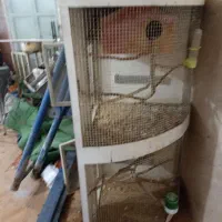 قفس کنج چرخ دار