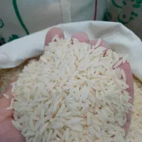 برنج هاشمی الک کارخونه