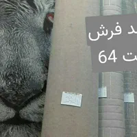 شیراز نمد مکت موکتت|موکت|مشهد, قائم|دیوار