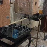 قفس ۱۰۳۳طوطی سانان برپایه و لونه بزرگ