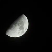 p40 pro|موبایل|بم, |دیوار