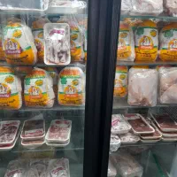 شاگرد پروتینی