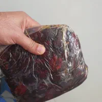 خرمای بوشهر