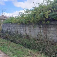 فروش ۳۵۰ متر زمین مسکونی با پروانه ساخت|فروش زمین و ملک کلنگی|رضوانشهر, |دیوار