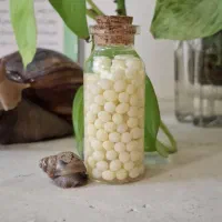 خاویار حلزون