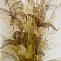 گل و‌گلدان|گل مصنوعی|بندرعباس, |دیوار