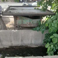 گاری میوه فروشی