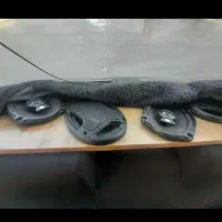 چهار تا باند