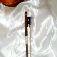 ساز ویولن اصل چک و اسلواکی 4/4|ویولن|تهران, فلسطین (میدان انقلاب)|دیوار