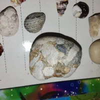 تعدادی سنگ|کلکسیون اشیاء عتیقه|مشهد, مقدم|دیوار