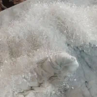 شومیز مجلسی بچگانه