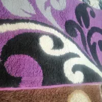 پادری|پادری|مشهد, طرق|دیوار