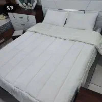 روتختی مخمل کالیفرنیا|سرویس روتختی|بجنورد, |دیوار