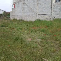 زمین ۲۵۵ متر سند دار مسکونی شلمان لنگرود