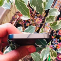 Iphone 13pro|موبایل|مشهد, نیروی هوایی|دیوار