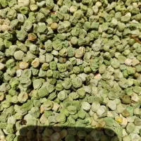 نخود فرنگی ولف