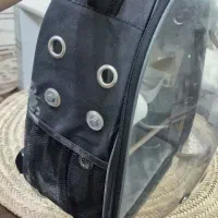 کیف حمل حیوان وپرنده