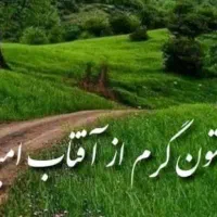 واحدکوچک، غیرگیلانی ام