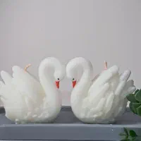 (قو تنها پرنده هست که عاشق میشود و وفادارمیماند)