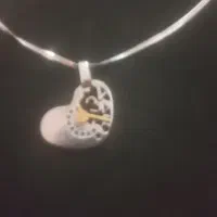 ست گردنبند و گوشوار استیل|بدلیجات|رشت, استقامت ۱|دیوار