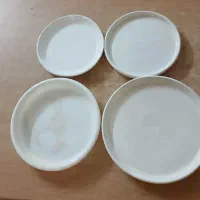 گلدان|گل و گیاه طبیعی|سبزوار, ولیعصر (نجار آباد)|دیوار