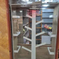 قفسه mdf|کتابخانه، شلف، قفسه‌های دیواری|بیجار, |دیوار