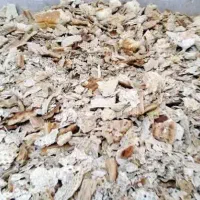 ضایعات نان خشک کارتن