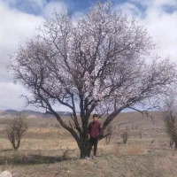 زمین در روستا