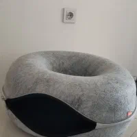 جای خواب و آغوشی سگ و گربه